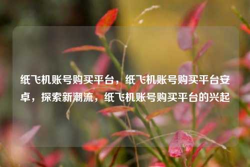 纸飞机账号购买平台，纸飞机账号购买平台安卓，探索新潮流，纸飞机账号购买平台的兴起