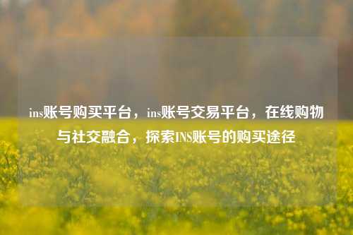 ins账号购买平台，ins账号交易平台，在线购物与社交融合，探索INS账号的购买途径