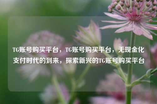 TG账号购买平台，TG账号购买平台，无现金化支付时代的到来，探索新兴的TG账号购买平台