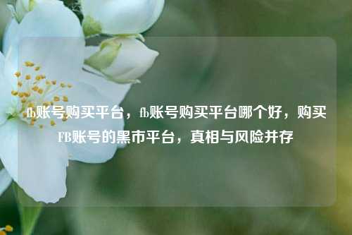 fb账号购买平台，fb账号购买平台哪个好，购买FB账号的黑市平台，真相与风险并存