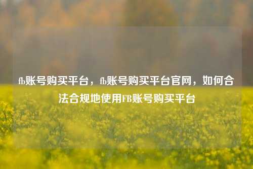 fb账号购买平台，fb账号购买平台官网	，如何合法合规地使用FB账号购买平台  第1张