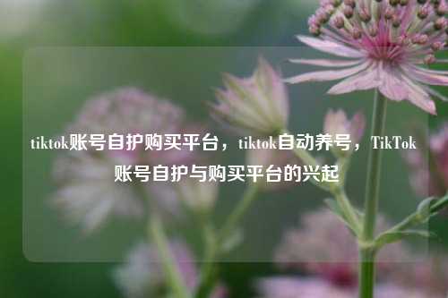 tiktok账号自护购买平台，tiktok自动养号	，TikTok 账号自护与购买平台的兴起  第1张
