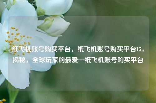 纸飞机账号购买平台，纸飞机账号购买平台15，揭秘，全球玩家的最爱—纸飞机账号购买平台