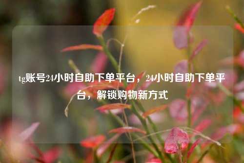 tg账号24小时自助下单平台，24小时自助下单平台，解锁购物新方式