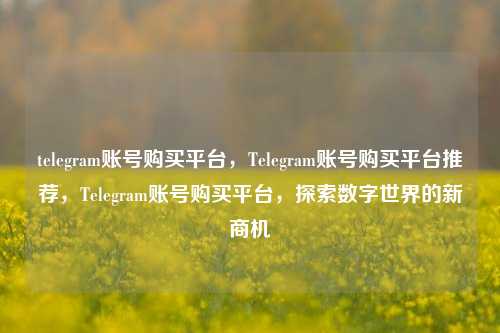 telegram账号购买平台，Telegram账号购买平台推荐，Telegram账号购买平台，探索数字世界的新商机