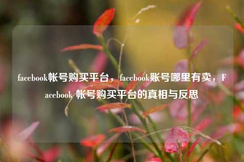 facebook帐号购买平台，facebook账号哪里有卖，Facebook 帐号购买平台的真相与反思