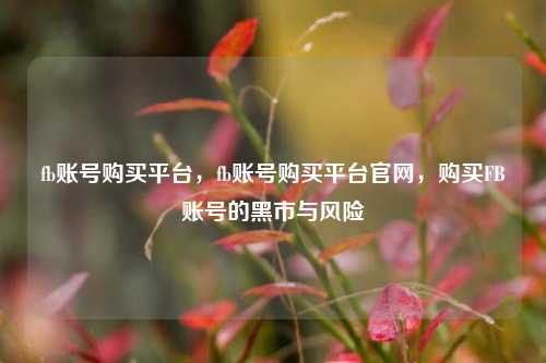 fb账号购买平台，fb账号购买平台官网，购买FB账号的黑市与风险