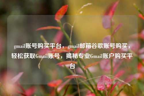 gmail账号购买平台，gmail邮箱谷歌账号购买，轻松获取Gmail账号，揭秘专业Gmail账户购买平台