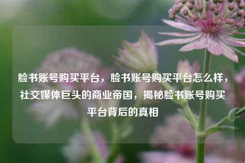 脸书账号购买平台，脸书账号购买平台怎么样，社交媒体巨头的商业帝国，揭秘脸书账号购买平台背后的真相