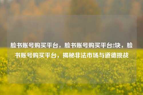 脸书账号购买平台，脸书账号购买平台2块，脸书账号购买平台，揭秘非法市场与道德挑战