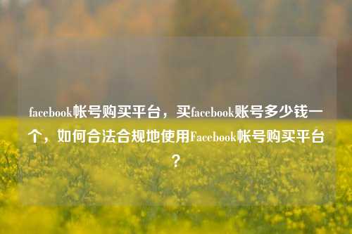 facebook帐号购买平台，买facebook账号多少钱一个，如何合法合规地使用Facebook帐号购买平台？