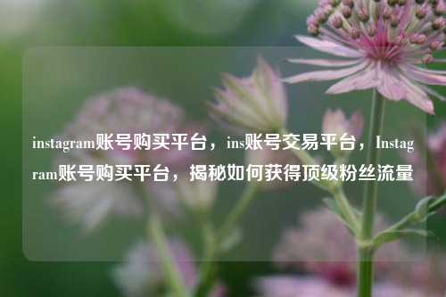 instagram账号购买平台，ins账号交易平台，Instagram账号购买平台，揭秘如何获得顶级粉丝流量