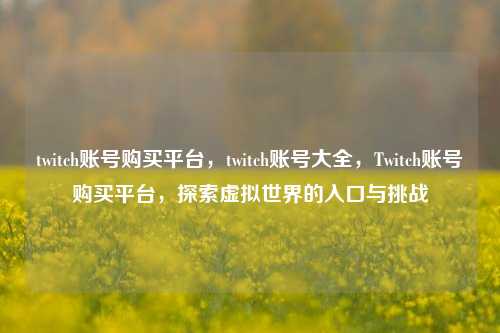 twitch账号购买平台，twitch账号大全，Twitch账号购买平台，探索虚拟世界的入口与挑战