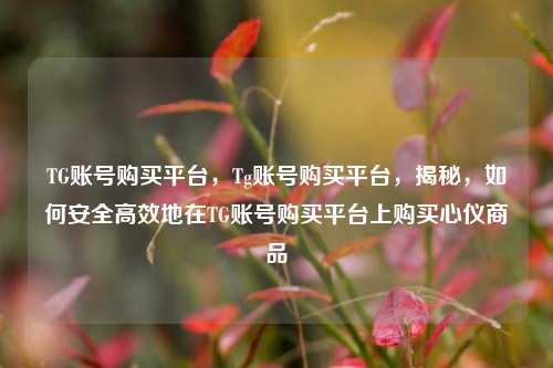 TG账号购买平台，Tg账号购买平台，揭秘，如何安全高效地在TG账号购买平台上购买心仪商品