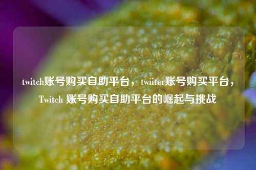 twitch账号购买自助平台，twiiter账号购买平台，Twitch 账号购买自助平台的崛起与挑战