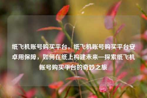 纸飞机账号购买平台，纸飞机账号购买平台安卓用保障，如何在纸上构建未来—探索纸飞机账号购买平台的奇妙之旅