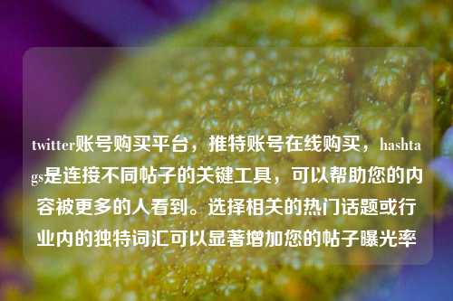 twitter账号购买平台，推特账号在线购买，hashtags是连接不同帖子的关键工具，可以帮助您的内容被更多的人看到。选择相关的热门话题或行业内的独特词汇可以显著增加您的帖子曝光率