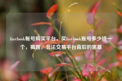 facebook帐号购买平台，买facebook账号多少钱一个，揭露，非法交易平台背后的黑幕