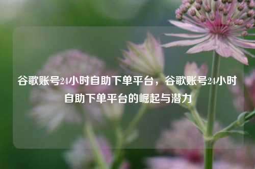 谷歌账号24小时自助下单平台，谷歌账号24小时自助下单平台的崛起与潜力