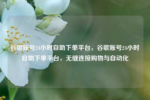 谷歌账号24小时自助下单平台，谷歌账号24小时自助下单平台，无缝连接购物与自动化