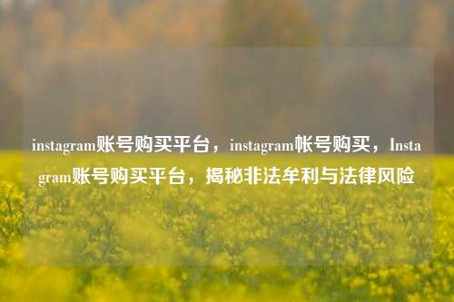 instagram账号购买平台，instagram帐号购买，Instagram账号购买平台，揭秘非法牟利与法律风险