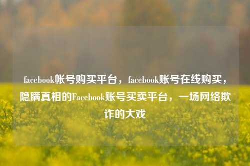 facebook帐号购买平台，facebook账号在线购买，隐瞒真相的Facebook账号买卖平台，一场网络欺诈的大戏
