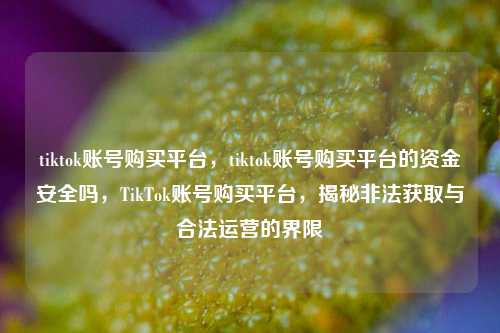 tiktok账号购买平台，tiktok账号购买平台的资金安全吗，TikTok账号购买平台，揭秘非法获取与合法运营的界限