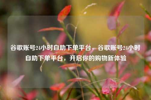 谷歌账号24小时自助下单平台	，谷歌账号24小时自助下单平台，开启你的购物新体验  第1张