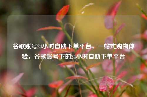 谷歌账号24小时自助下单平台，一站式购物体验，谷歌账号下的24小时自助下单平台