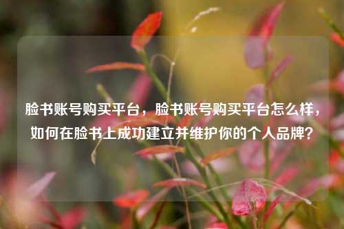 脸书账号购买平台，脸书账号购买平台怎么样，如何在脸书上成功建立并维护你的个人品牌？