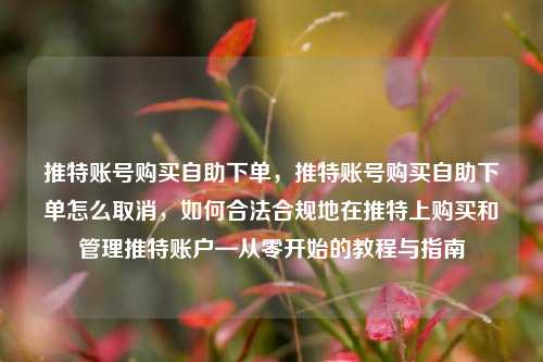 推特账号购买自助下单，推特账号购买自助下单怎么取消，如何合法合规地在推特上购买和管理推特账户—从零开始的教程与指南