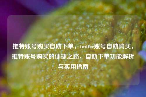 推特账号购买自助下单，twitter账号自助购买，推特账号购买的便捷之路，自助下单功能解析与实用指南