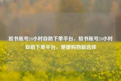 脸书账号24小时自助下单平台，脸书账号24小时自助下单平台，便捷购物新选择