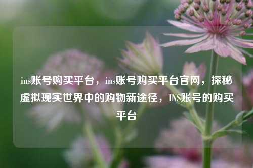 ins账号购买平台，ins账号购买平台官网，探秘虚拟现实世界中的购物新途径，INS账号的购买平台