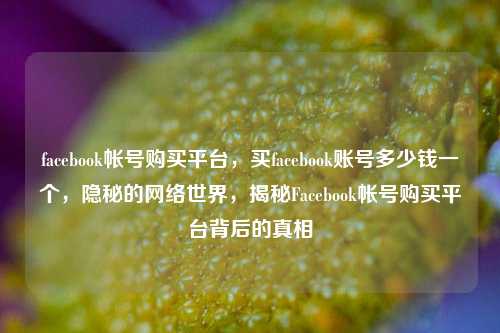 facebook帐号购买平台，买facebook账号多少钱一个，隐秘的网络世界，揭秘Facebook帐号购买平台背后的真相