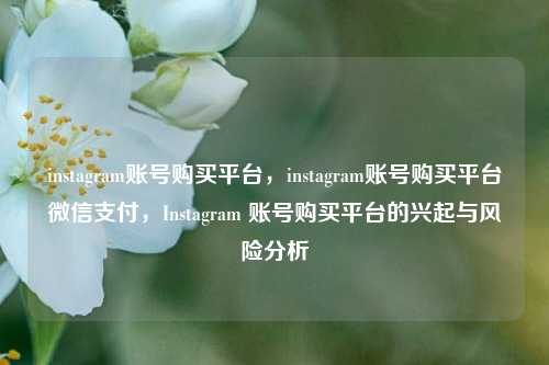 instagram账号购买平台，instagram账号购买平台微信支付，Instagram 账号购买平台的兴起与风险分析  第1张