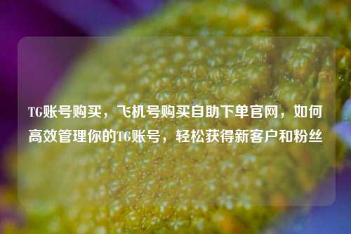 TG账号购买，飞机号购买自助下单官网，如何高效管理你的TG账号，轻松获得新客户和粉丝