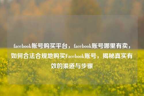facebook帐号购买平台	，facebook账号哪里有卖，如何合法合规地购买Facebook账号，揭秘真实有效的渠道与步骤  第1张