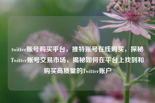 twitter账号购买平台，推特账号在线购买，探秘Twitter账号交易市场，揭秘如何在平台上找到和购买高质量的Twitter账户
