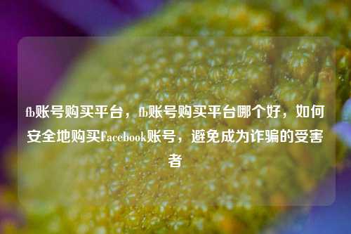 fb账号购买平台，fb账号购买平台哪个好，如何安全地购买Facebook账号，避免成为诈骗的受害者