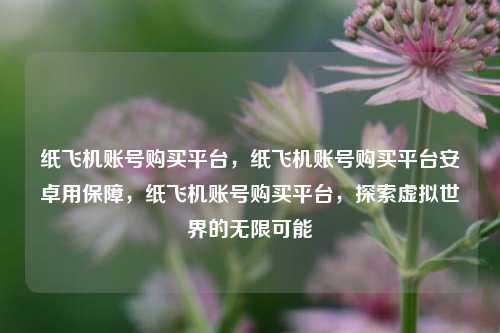 纸飞机账号购买平台，纸飞机账号购买平台安卓用保障，纸飞机账号购买平台，探索虚拟世界的无限可能