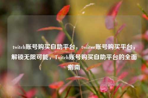 twitch账号购买自助平台，twiiter账号购买平台，解锁无限可能，Twitch账号购买自助平台的全面指南