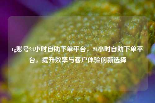 tg账号24小时自助下单平台，24小时自助下单平台，提升效率与客户体验的新选择