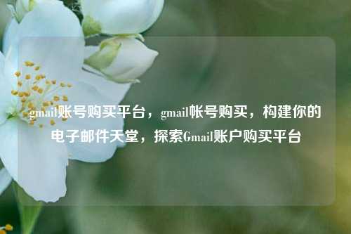 gmail账号购买平台，gmail帐号购买，构建你的电子邮件天堂，探索Gmail账户购买平台