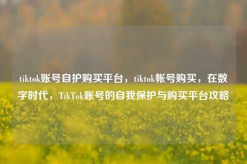 tiktok账号自护购买平台，tiktok帐号购买，在数字时代，TikTok账号的自我保护与购买平台攻略