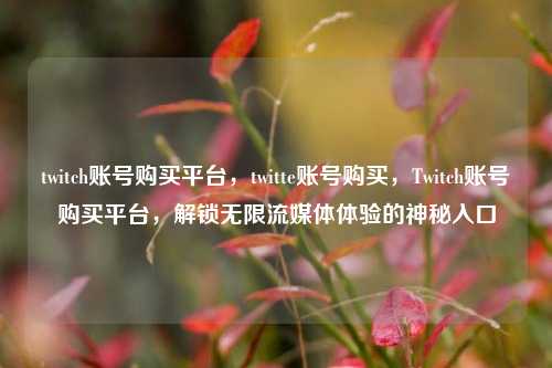 twitch账号购买平台，twitte账号购买，Twitch账号购买平台，解锁无限流媒体体验的神秘入口