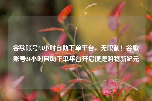 谷歌账号24小时自助下单平台，无限制！谷歌账号24小时自助下单平台开启便捷购物新纪元
