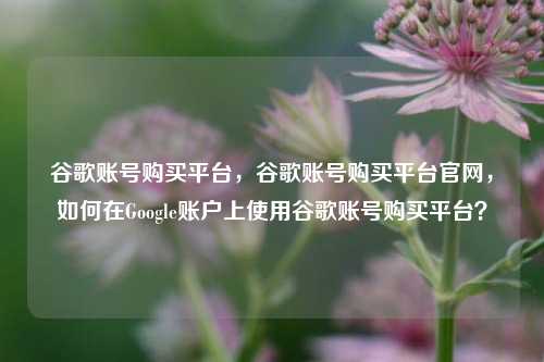 谷歌账号购买平台，谷歌账号购买平台官网，如何在Google账户上使用谷歌账号购买平台？