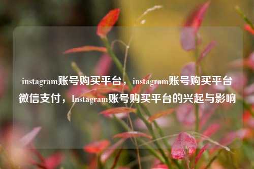 instagram账号购买平台，instagram账号购买平台微信支付，Instagram账号购买平台的兴起与影响